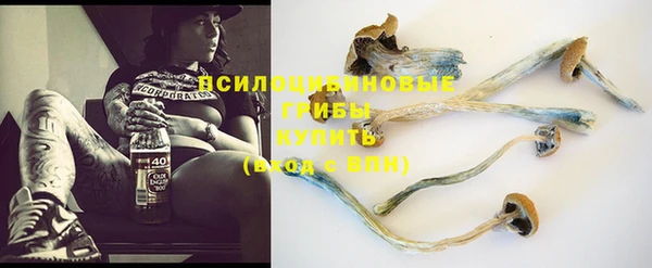apvp Арсеньев
