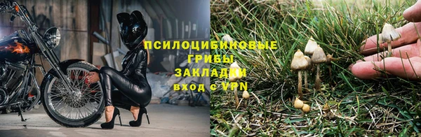 тгк Алзамай