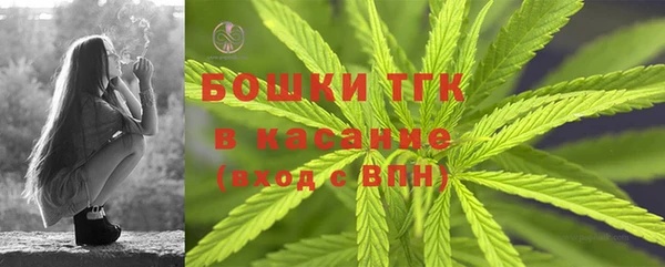 тгк Алзамай