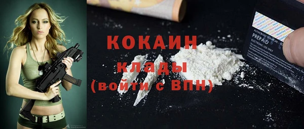 стафф Алексин