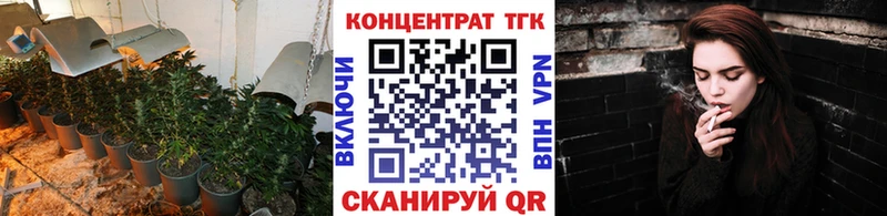 где можно купить наркотик  сайты даркнета официальный сайт  ТГК вейп  Сасово 
