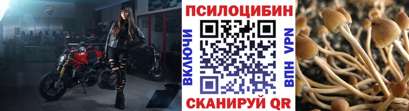 Псилоцибиновые грибы Cubensis  Сасово 